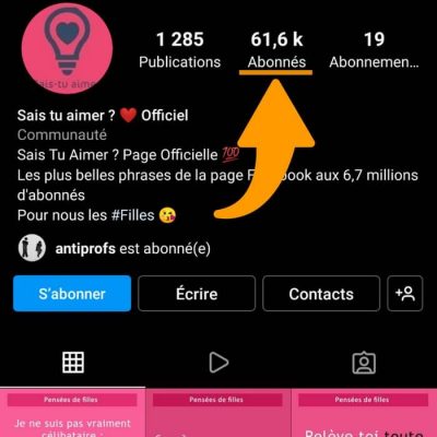 Abonnés Instagram Français